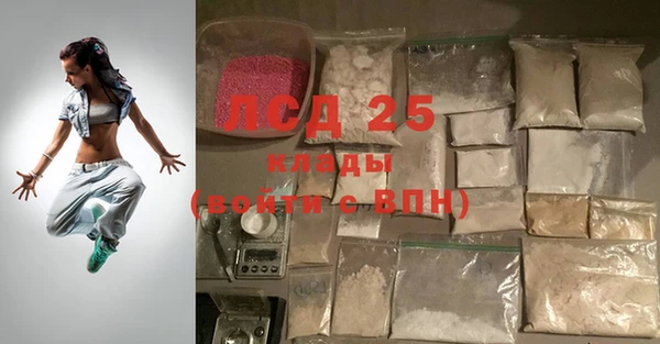 прущие грибы Балабаново